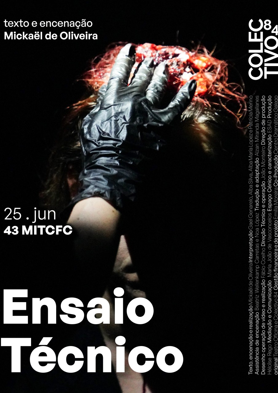 Ensaio técnico